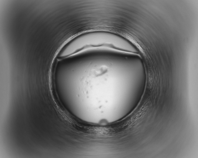 X0000096201085200802081535