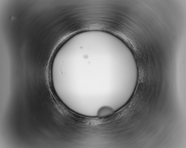 X0000096201086200802081535