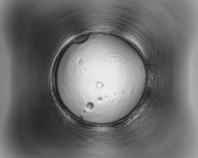 X0000096201087200802081535