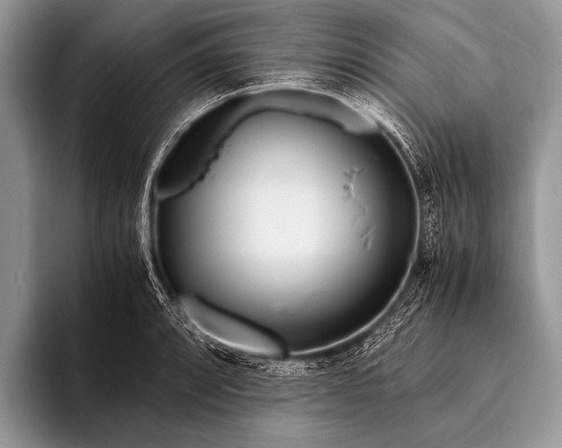 X0000096201088200802081535