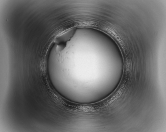 X0000096201089200802081535