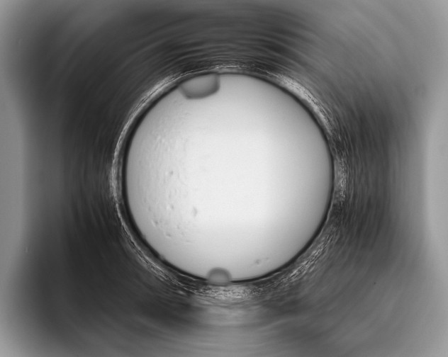 X0000096201090200802081535