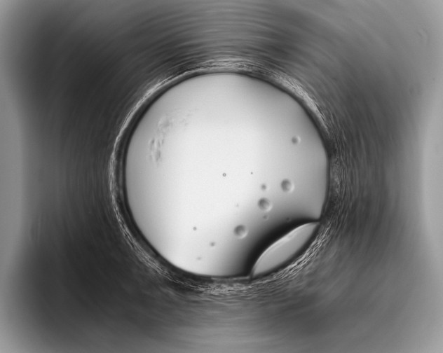 X0000096201091200802081535