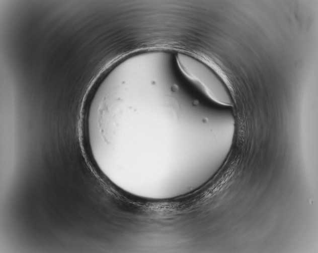 X0000096201093200802081535