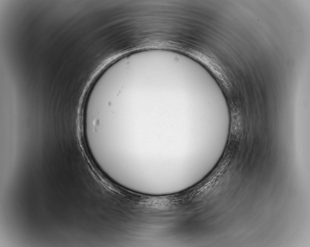 X0000096201094200802081535