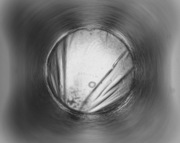 X0000096201095200802081535