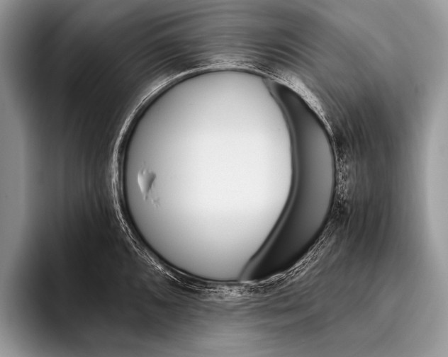 X0000096201096200802081535