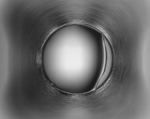 X0000096201097200802081535