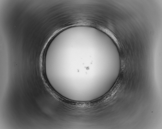 X0000096201099200802081535