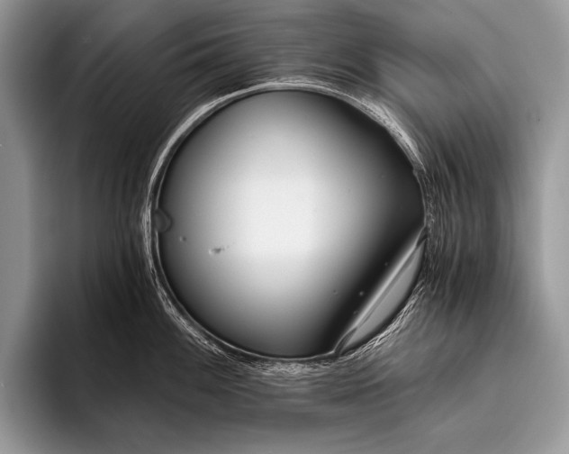 X0000096201100200802081535