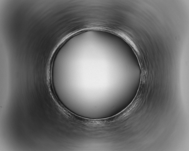 X0000096201101200802081535