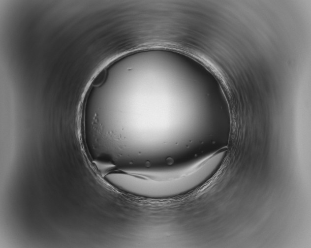 X0000096201102200802081535