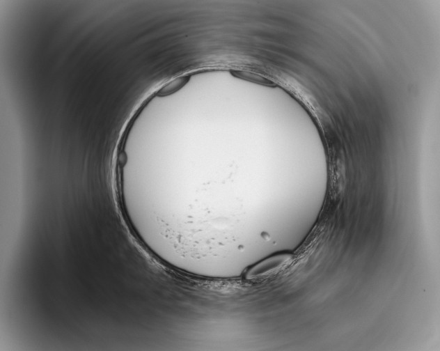 X0000096201103200802081535