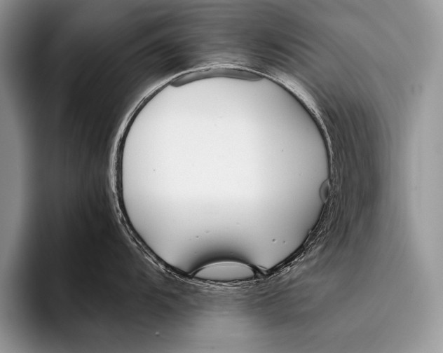 X0000096201104200802081535