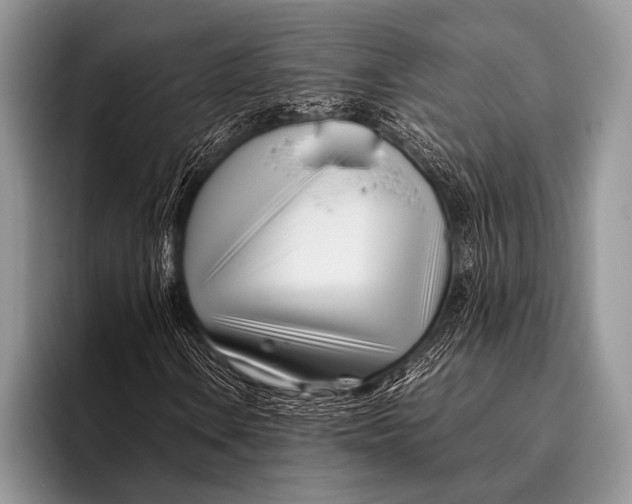 X0000096201106200802081534