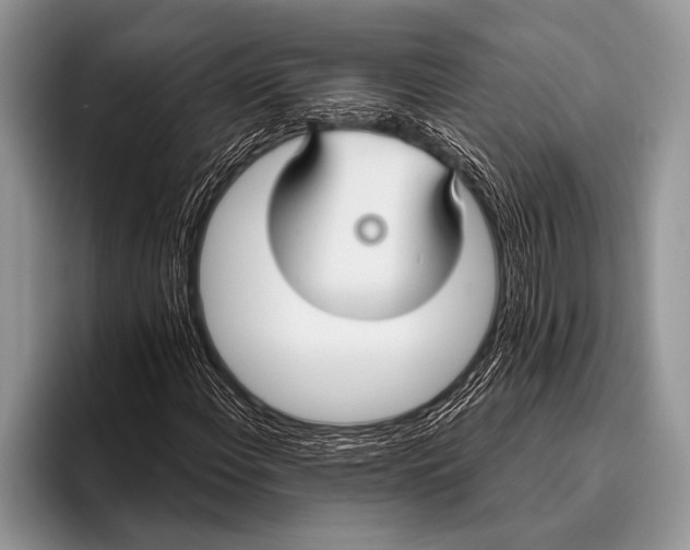 X0000096201108200802081534