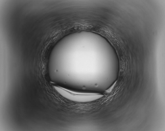 X0000096201109200802081534