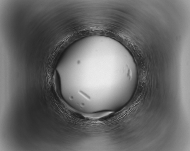 X0000096201110200802081534