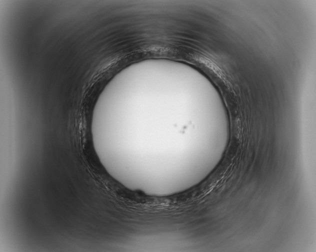 X0000096201111200802081534