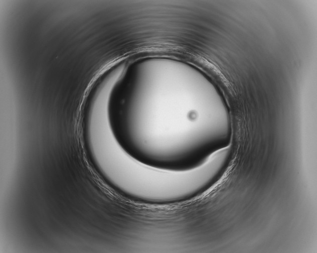 X0000096201114200802081534