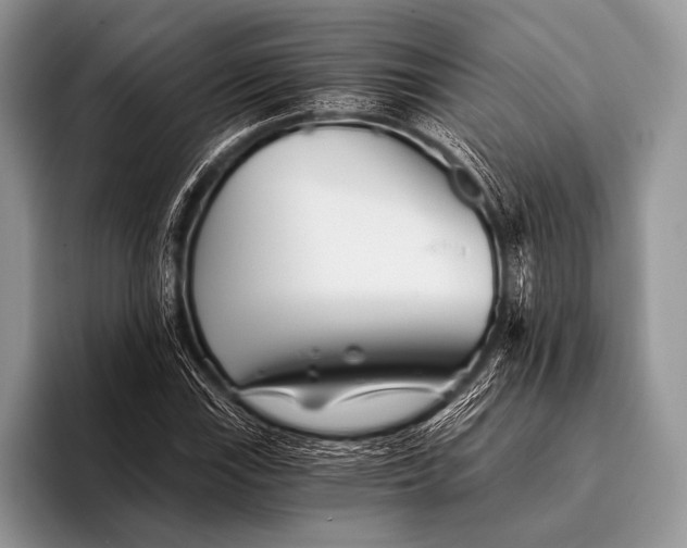 X0000096201115200802081534