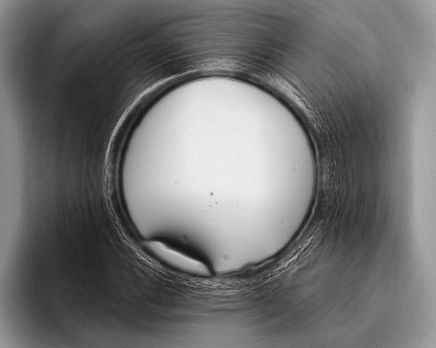 X0000096201116200802081534