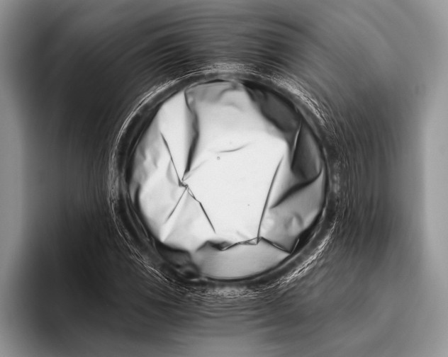 X0000096201117200802081534