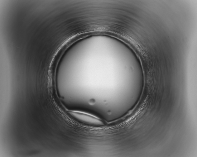 X0000096201118200802081534