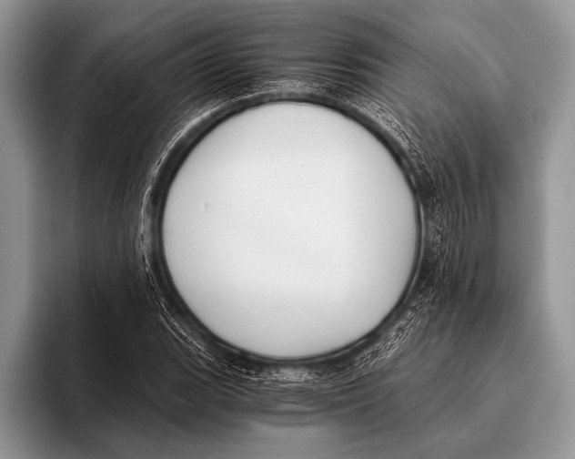 X0000096201119200802081534