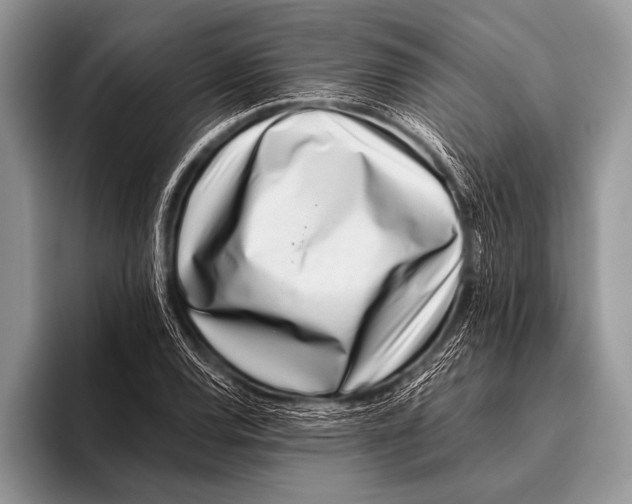 X0000096201120200802081534