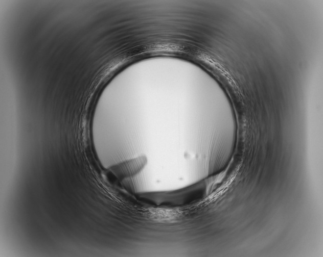 X0000096201121200802081535