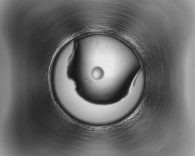 X0000096201122200802081535