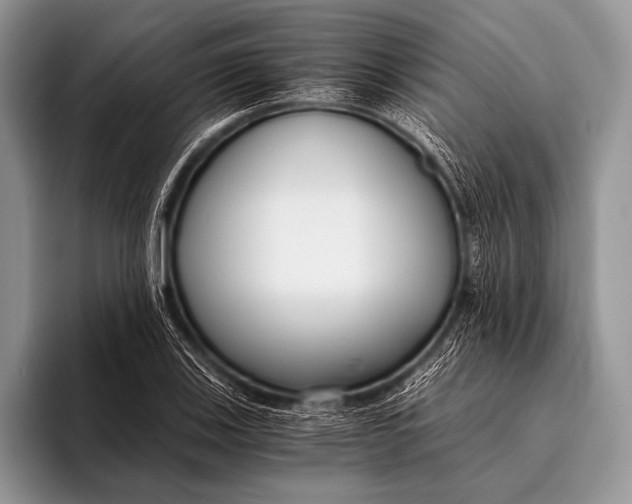 X0000096201123200802081535