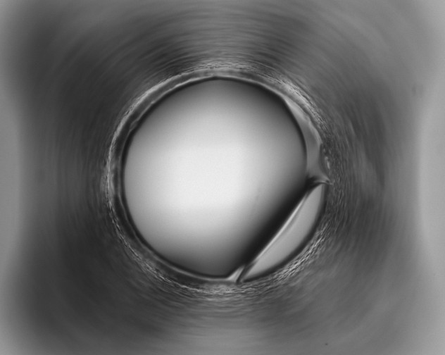 X0000096201124200802081535