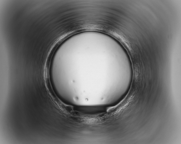 X0000096201125200802081535