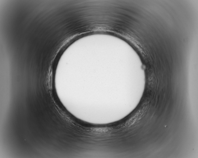 X0000096201126200802081535