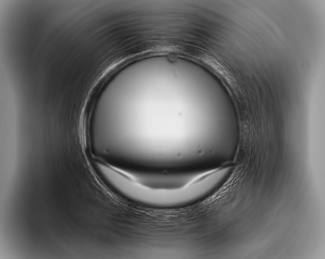 X0000096201127200802081535