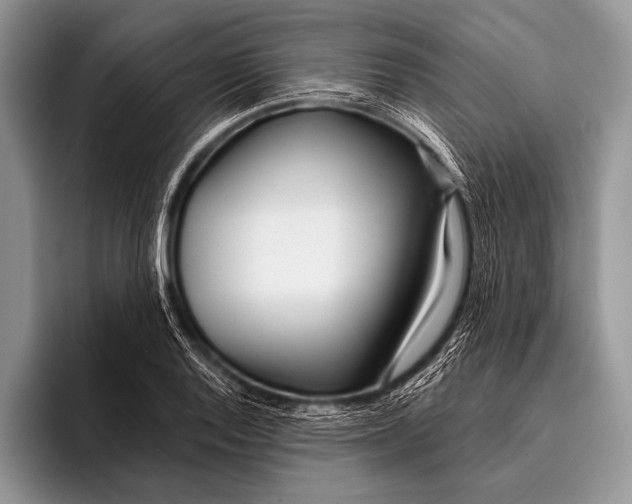 X0000096201128200802081535