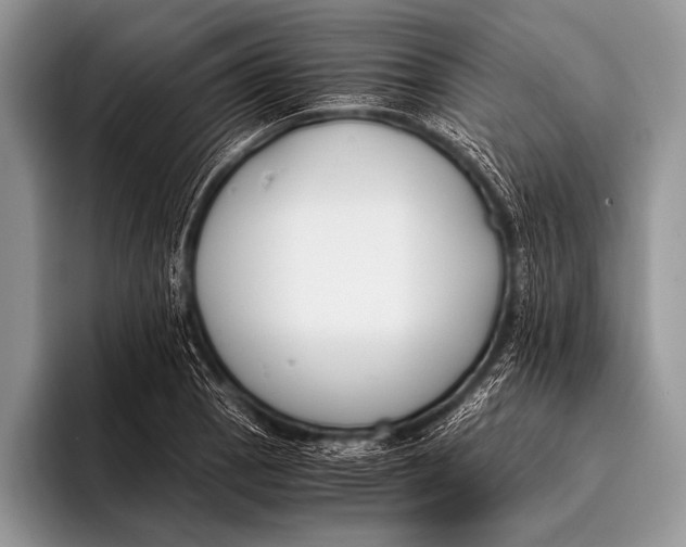 X0000096201129200802081535