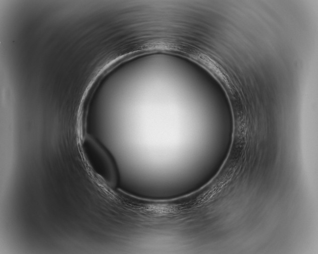 X0000096201132200802081535