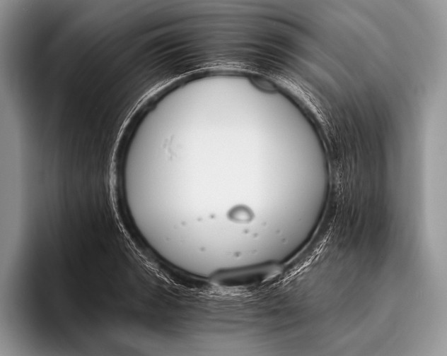 X0000096201133200802081535