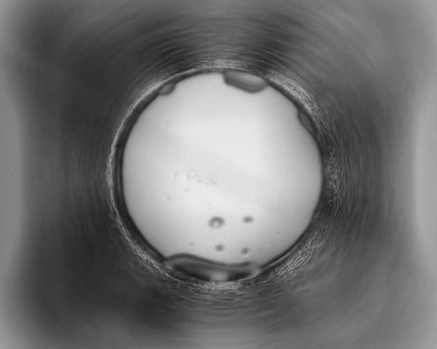 X0000096201135200802081535