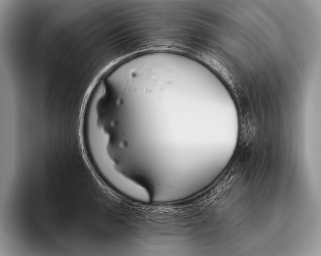 X0000096201136200802081535