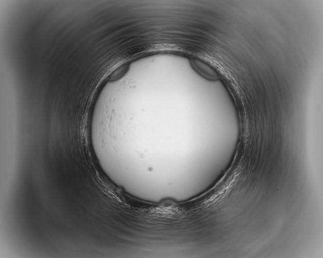 X0000096201137200802081535