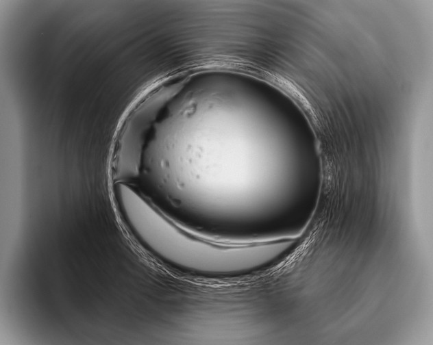 X0000096201138200802081535