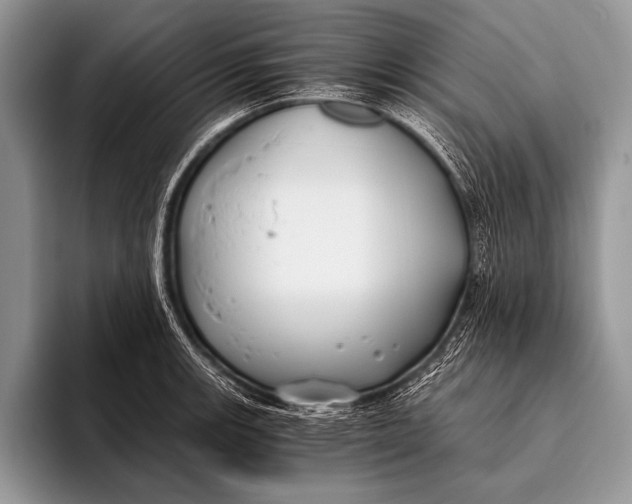 X0000096201139200802081535