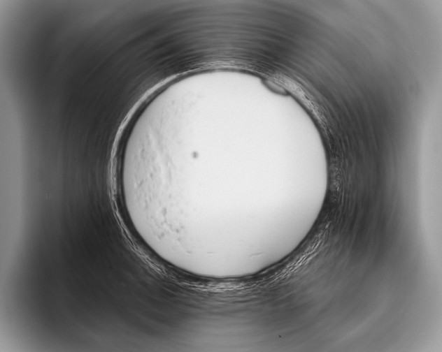 X0000096201140200802081535