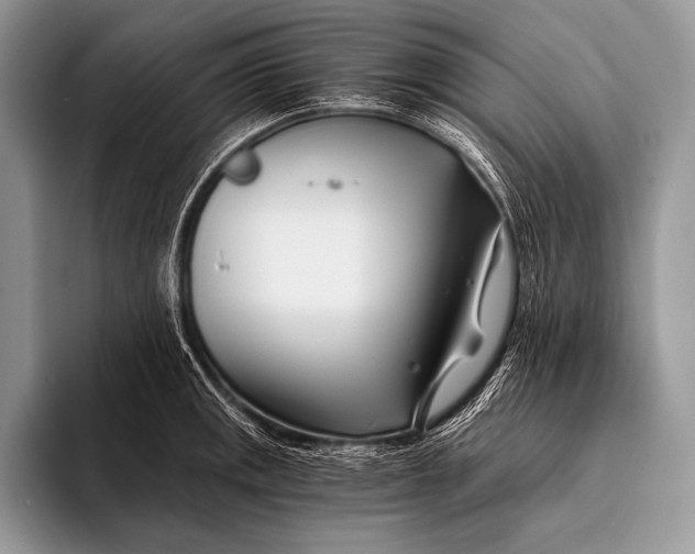 X0000096201141200802081535