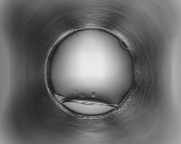 X0000096201142200802081535