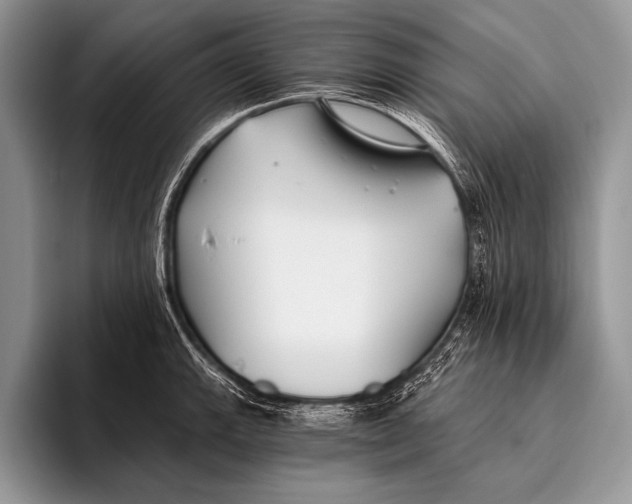 X0000096201143200802081535